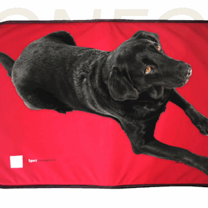 Matelas & couverture chien SportInnovations