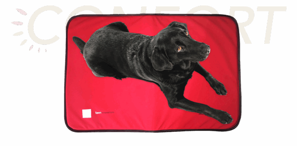 Matelas & couverture chien SportInnovations